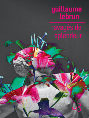 cover image of Ravagés de splendeur